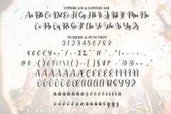 Party Product Image 7