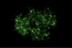 Neon Spray Product Image 7