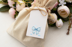 Minimalist Cloudy Sky Coquette Bow Clipart Product Image 7