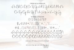 Vintage Signature Product Image 7