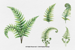 15 Bundle Watercolor Fern Leaf Botanical Aesthetic Tropical Product Image 7