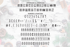 Winter Rustic Product Image 7