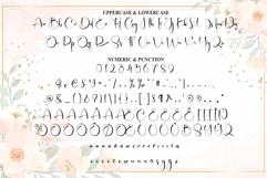 Sunday Product Image 7