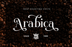 Nexila - Luxury Serif Font Product Image 7