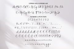 Pride Product Image 7