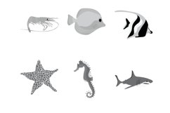 Cartoon Sea Animals Set 3 Procreate Brush Stamps, 30 Sea Product Image 7