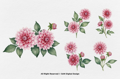 15 Bundle Watercolor Pink Dahlias Flower Soft Floral Decor Product Image 7