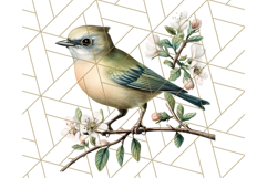 Vintage Song Bird Clipart PNG, Botanical Bird Art Clip Art Product Image 3