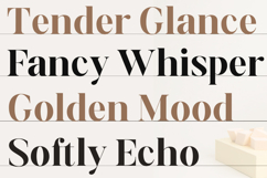 Alveria Serif Product Image 7