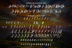 Wonderfull Product Image 7