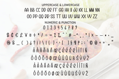 Spicy Chicken Product Image 7