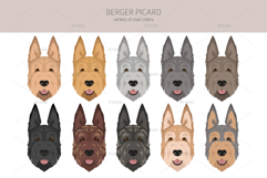 Berger Picard clipart Product Image 5