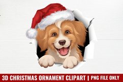 3d-Christmas Ornament Sublimation PNG Product Image 1