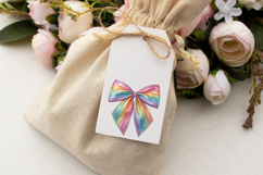 Metallic Shimmer Rainbow Coquette Bow Clipart with Shimmer Product Image 6