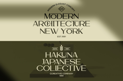Kovela - Luxury Ligature Sans Serif Font Product Image 7