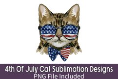 4th Of July Cat Sublimation Bundle Product Image 8