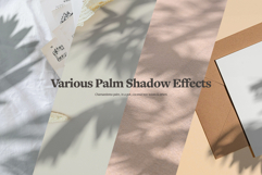 Plant Shadow Backdrops Video Bundle Product Image 7