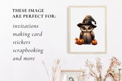 Cute owl halloween clipart, owl sublimation Product Image 3