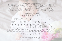 Babyday Product Image 7