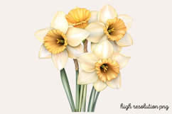 Springtime Daffodils Easter Clipart PNG Product Image 1