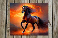 Horses | 4 skinny tumbler Sublimation designs PL2 Product Image 3