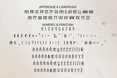 Only This Product Image 7