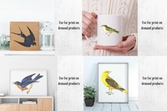 Vintage Birds, Antique Birds Clipart Product Image 7