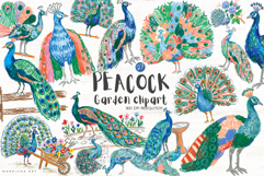 Peacock Garden Clipart Product Image 1
