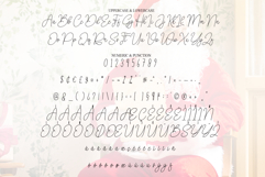 Santaclaus Product Image 7