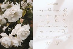 Denara Product Image 7
