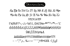 Amelia Notes is a handwritten font Product Image 7