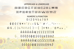 Sunday Sunshine Product Image 7