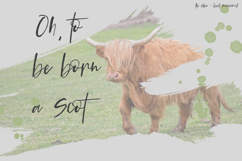 The Glen Brush Script Product Image 7