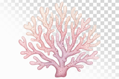 Underwater Coral Reef Sea Anemone Pastel Colors PNG Summer Product Image 1