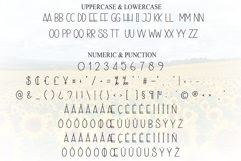 Summer Sunflower Product Image 7