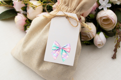 Pastel Cloudy Sky Coquette Bow Clipart Product Image 6