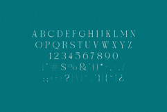Heatwave - Elegant &amp; Wavy Serif Product Image 7