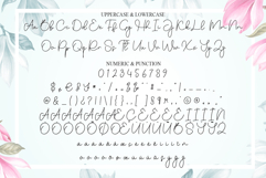 Adelya Product Image 7