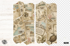 Ephemera Nautical Brushstrokes PNG Product Image 1