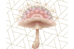 Dreamy Patterned Mushroom Clipart PNG, Forest Elements Png Product Image 3