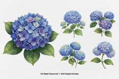 15 Bundle Watercolor Hydrangea Flower Blue Floral Garden Product Image 7