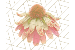 Fall Foliage Clipart PNG, Pink and Green Leaves Product Image 3