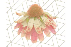 Fall Foliage Clipart PNG, Pink and Green Leaves Product Image 3