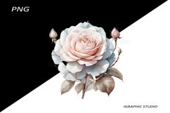 Blue and Rose gold FlowersPNG, Bouquet PNG Product Image 1