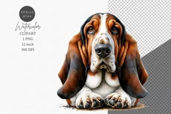 Dog clipart, Puppy dog, Basset Hound Product Image 1