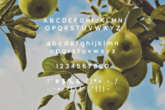 Green Apple - Vintage Sans Serif Product Image 7