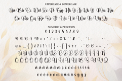 Wonder Gracefull Product Image 7