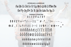 Holiday Product Image 7