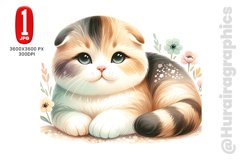 Baby Scottish Fold Cat - JPG File Product Image 1