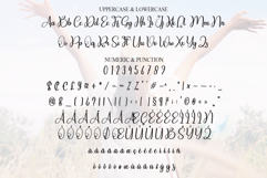 Delightful Product Image 7